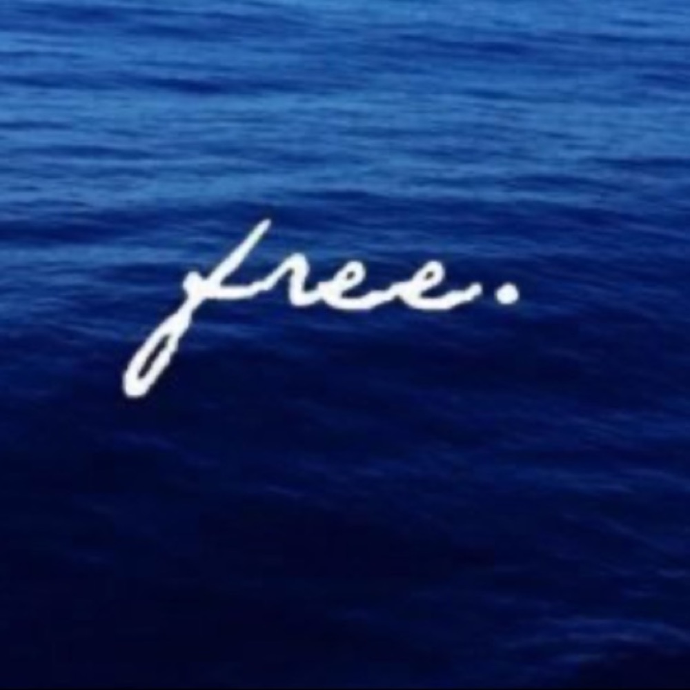 ✨Yes, I Have Free Stuff ✨